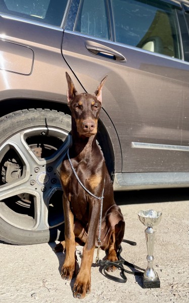 Главное фото